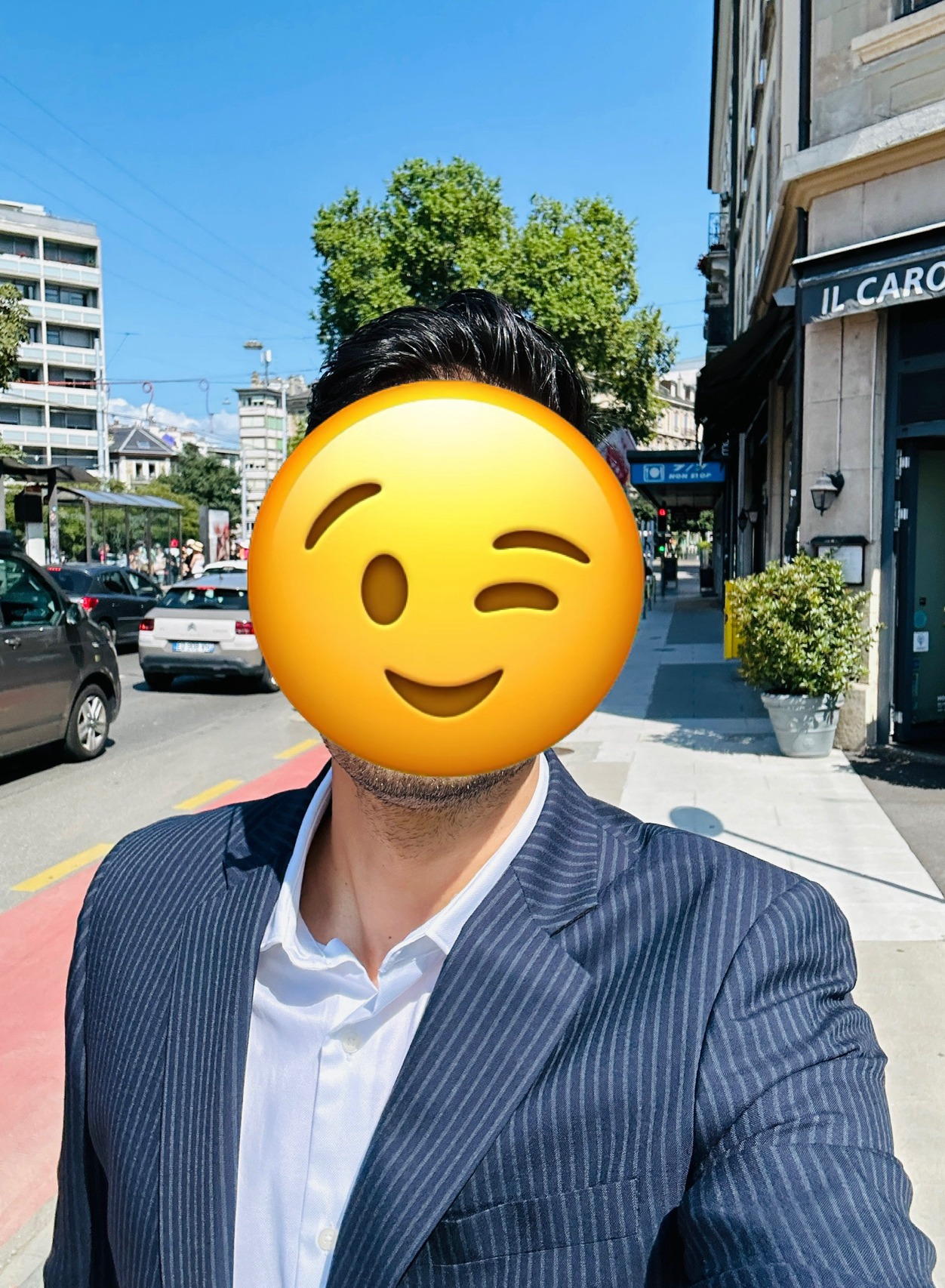 Profil de Pino